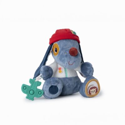 JULES CHIEN MULTI-ACTIVITES